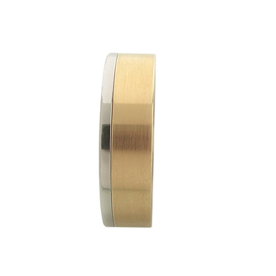 Edelstahl-Gelbgold-Ring mit innenliegendem Band in Gold