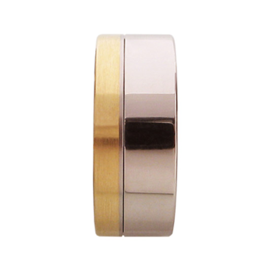 Edelstahl-Gelbgold-Ring mit innenliegendem Band in Gold